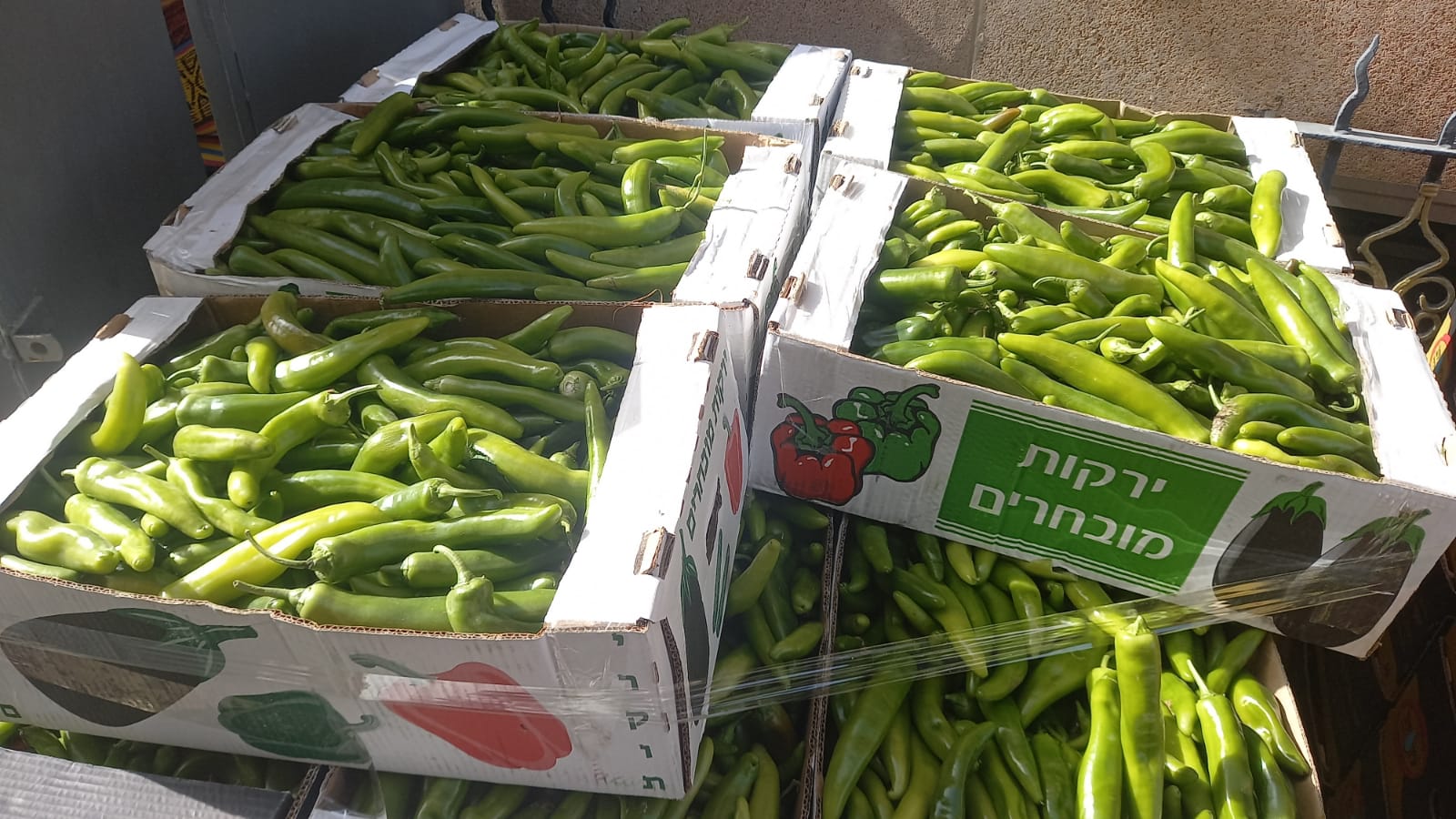 WhatsApp Image 2021-05-04 at 9.10.25 AM (1).jpeg